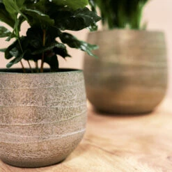 Joyce Plant Pot - Shiny Olive 19 Joyce Plant Pot - Shiny Olive -Plant Promotion Store Joyce shiny olive 04