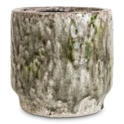 Julian Plant Pot - Moss -Plant Promotion Store Julian Pot Moss 14x14cm 8606c8b1 4ff9 4e1d aef5 89fca90e0ba1