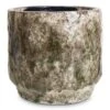 Julian Plant Pot - Moss