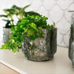 Julian Plant Pot - Moss -Plant Promotion Store Julian moss green 06