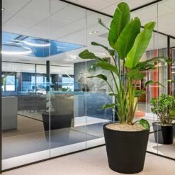 Jumbo Bucket Natural Planter - Black -Plant Promotion Store Jumbo Bucket Natural Planter Black 98x85cm Lifestyle 2