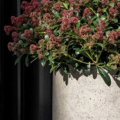 Jumbo Charlie Planter - Stone Washed -Plant Promotion Store Jumbo Charlie Planter Stone Washed Close Up