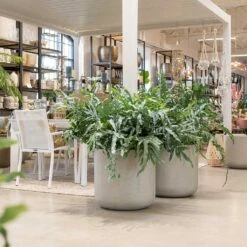 Jumbo Charlie Planter - Stone Washed -Plant Promotion Store Jumbo Charlie Planter Stone Washed Indoors