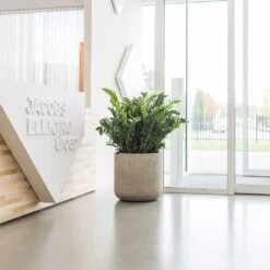 Jumbo Charlie Planter - Stone Washed -Plant Promotion Store Jumbo Charlie Planter Stone Washed Office Reception Planter