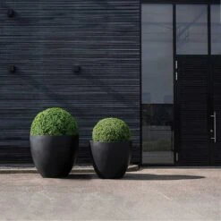 Jumbo Jesslyn Natural Planter - Black 10 Jumbo Jesslyn Natural Planter - Black -Plant Promotion Store Jumbo Jesslyn Natural Planter Black Entrance Planters