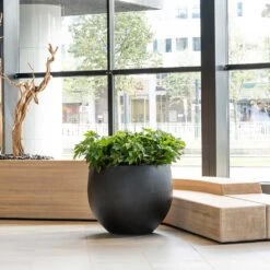 Jumbo Orb Natural Planter - Black 14 Jumbo Orb Natural Planter - Black -Plant Promotion Store Jumbo Orb Natural Orb Planter Black Office Reception Planter