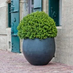 Jumbo Orb Natural Planter - Black 13 Jumbo Orb Natural Planter - Black -Plant Promotion Store Jumbo Orb Natural Orb Planter Black Single Outdoor Planter