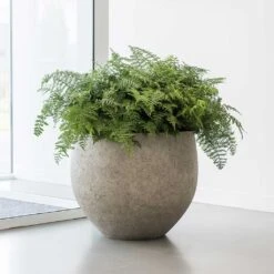 Jumbo Orb Planter - Stone Washed 19 Jumbo Orb Planter - Stone Washed -Plant Promotion Store Jumbo Orb Planter Stone Washed Office Plants