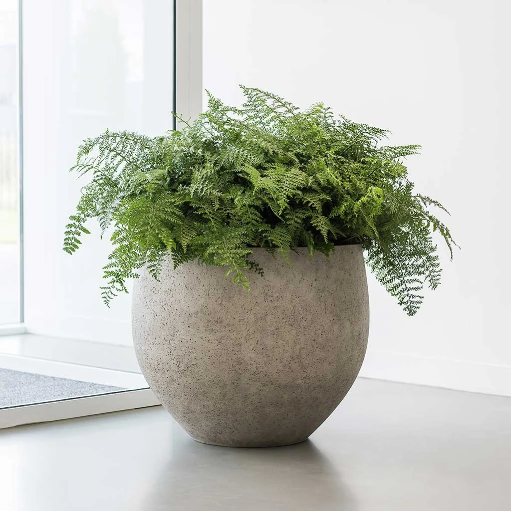 Jumbo Orb Planter - Stone Washed 9 Jumbo Orb Planter - Stone Washed - Image 7