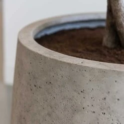 Jumbo Patt Planter - Stone Washed -Plant Promotion Store Jumbo Patt Planter Stone Washed Close Up