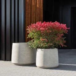 Jumbo Patt Planter - Stone Washed -Plant Promotion Store Jumbo Patt Planter Stone Washed Garden Plants