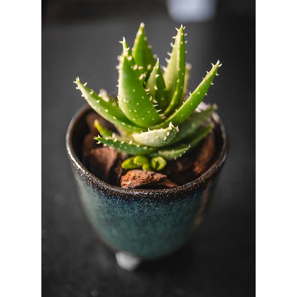 Kaat Plant Pot - Petrol 8 Kaat Plant Pot - Petrol - Image 7