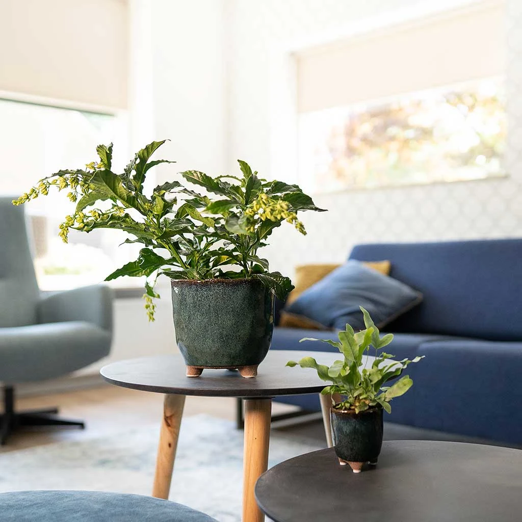 Kaat Plant Pot - Petrol 11 Kaat Plant Pot - Petrol - Image 10