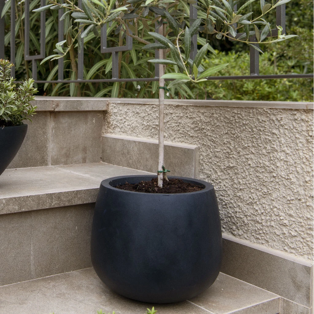Kevan Natural Planter - Black 7 Kevan Natural Planter - Black - Image 5