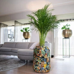 Lammie Planter - Berry Blue 22 Lammie Planter - Berry Blue -Plant Promotion Store Lammie Planter Berry Blue 5