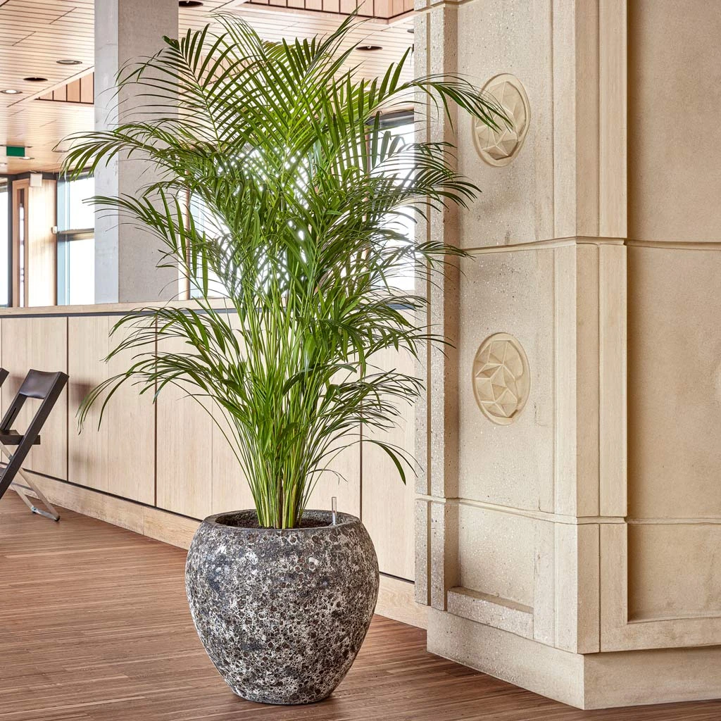 Lava Balloon Relic Planter - Rust 6 Lava Balloon Relic Planter - Rust - Image 4