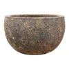Lava Bowl Relic Planter - Rust