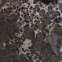 Lava Balloon Relic Planter - Black 13 Lava Balloon Relic Planter - Black -Plant Promotion Store Lava Couple Straight Relic Planter Black 2 a4a94e3a 86a4 4f76 9d1c 74e7adeb397d