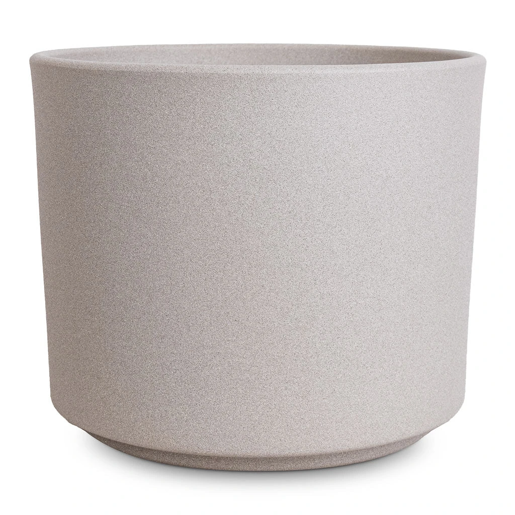 Leon Plant Pot - Cement 7 Leon Plant Pot - Cement - Image 5