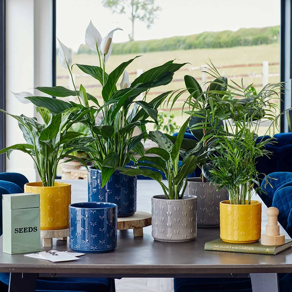 Arley Plant Pot - Blue Dragonfly 12 Arley Plant Pot - Blue Dragonfly - Image 10