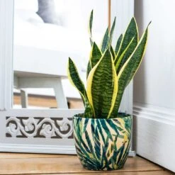 Monza Plant Pot - Botanical Fern -Plant Promotion Store Lifestyle Monza Plant Pot Botanical Fern 13x13cm