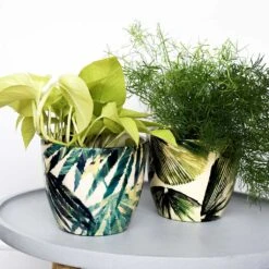 Monza Plant Pot - Botanical Fern -Plant Promotion Store Lifestyle Monza Plant Pot Botanical Fern 13x13cm 3