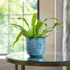 Ocean Glaze Plant Pot - Sapphire -Plant Promotion Store Lifestyle Ocean Glaze Plant Pot Sapphire 13x13cm 1