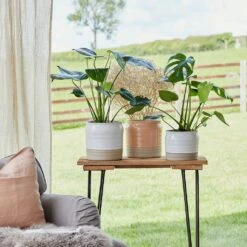 Puro Ripple Plant Pot - Peach -Plant Promotion Store Lifestyle Puro Ripple Plant Pot 21x19cm