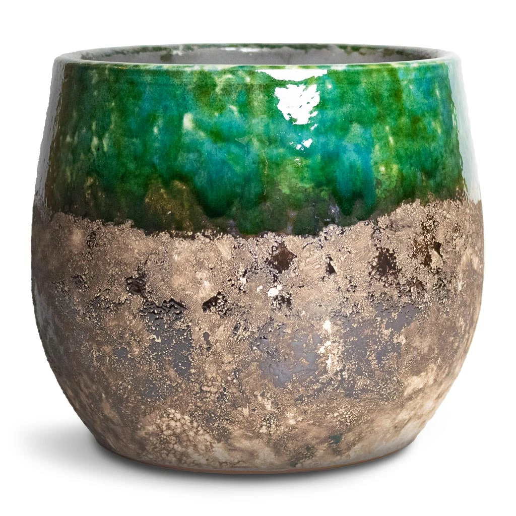 Lindy Plant Pot - Black Green 17 Lindy Plant Pot - Black Green - Image 15