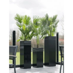 Line-Up Tall Square Planter - Matt Black 10 Line-Up Tall Square Planter - Matt Black -Plant Promotion Store Line Up Tall Square Planter Matt Black Lifestyle