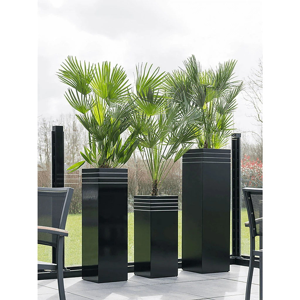 Line-Up Tall Square Planter - Matt Black 6 Line-Up Tall Square Planter - Matt Black - Image 4
