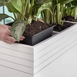 Line-Up Cube Planter - Matt White -Plant Promotion Store Line Up Tall Square Planter Matt White Lifestyle d7ee9310 8be7 4c44 81be 86c068dc217b