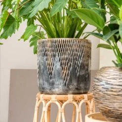 Luxe Lite Comet Cylinder Planter - Bronze 14 Luxe Lite Comet Cylinder Planter - Bronze -Plant Promotion Store Luxe Lite Comet Cylinder Planter Bronze Small Houseplant