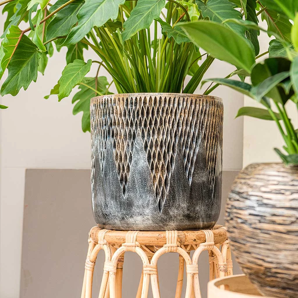 Luxe Lite Comet Cylinder Planter - Bronze 7 Luxe Lite Comet Cylinder Planter - Bronze - Image 5