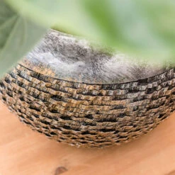 Luxe Lite Layer Globe Planter - Bronze 20 Luxe Lite Layer Globe Planter - Bronze -Plant Promotion Store Luxe Lite Layer Globe Planter 1