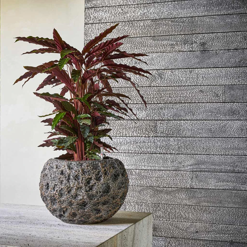 Luxe Lite Moon Globe Planter - Bronze 4 Luxe Lite Moon Globe Planter - Bronze - Image 2