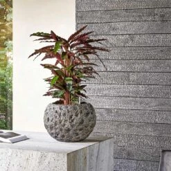 Luxe Lite Moon Globe Planter - Bronze 17 Luxe Lite Moon Globe Planter - Bronze -Plant Promotion Store Luxe Lite Universe Moon Globe Bronze