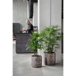 Luxe Lite Wrinkle Cylinder Planter - Bronze 19 Luxe Lite Wrinkle Cylinder Planter - Bronze -Plant Promotion Store Luxe Lite Wrinkle Cylinder Planter Bronze Lifestyle