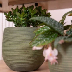 Lydia Plant Pot - Shiny Green -Plant Promotion Store LydiaPlantPot ShinyGreen 3