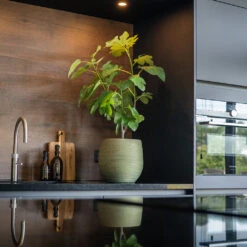 Lydia Plant Pot - Shiny Green -Plant Promotion Store LydiaPlantPot ShinyGreen 7