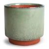 Malibu Plant Pot - Green
