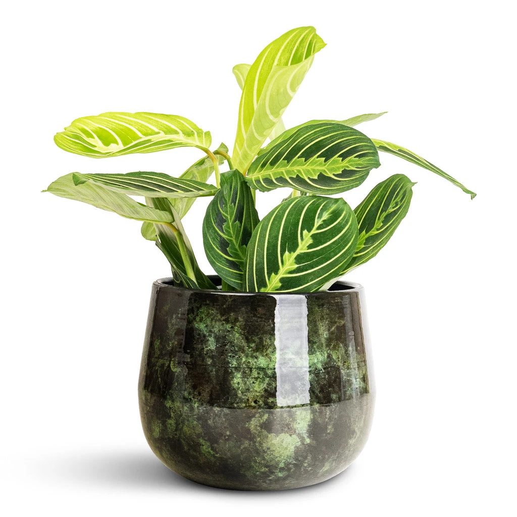 Emmie Metal Plant Pot - Mystic Green 6 Emmie Metal Plant Pot - Mystic Green - Image 4