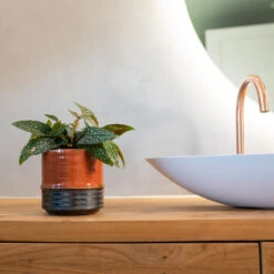 Marlijn Plant Pot - Coral 31 Marlijn Plant Pot - Coral -Plant Promotion Store MarlijnPlantPot 7