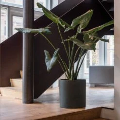 Max Refined Planter - Pine Green 22 Max Refined Planter - Pine Green -Plant Promotion Store Max Refined Planter Pine Green 1