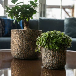 Maxim Plant Pot - Shiny Earth -Plant Promotion Store Maxim shiny earth 03