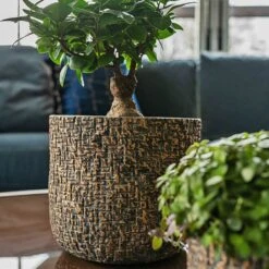 Maxim Plant Pot - Shiny Earth -Plant Promotion Store Maxim shiny earth 04