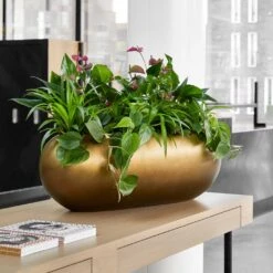 Metallic Boat Planter - Matt Honey -Plant Promotion Store Metallic Boat Planter Matt Honey 1