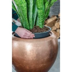 Metallic Couple Plant Pot - Matt Copper 14 Metallic Couple Plant Pot - Matt Copper -Plant Promotion Store Metallic Couple Plant Pot Matt Copper Sansevieria Lifestyle Close