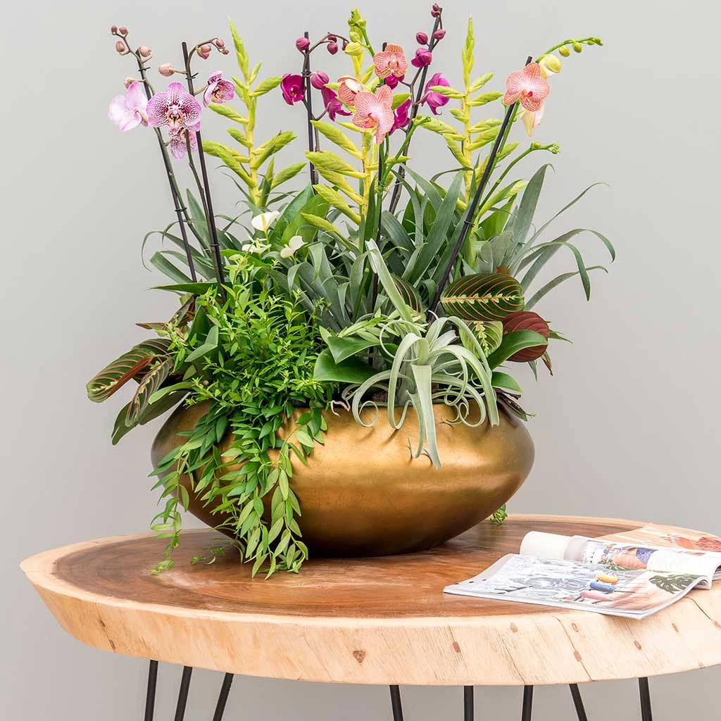 Metallic UFO Plant Bowl - Matt Honey 4 Metallic UFO Plant Bowl - Matt Honey - Image 2