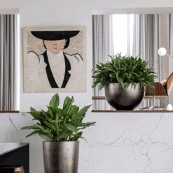 Metallic Plant Bowl - Matt Coffee 13 Metallic Plant Bowl - Matt Coffee -Plant Promotion Store MetallicPlantBowl MattCoffee 45x27cmPlantPotSizeCheck HortologyMetallicPlantBowl MattCoffee 1